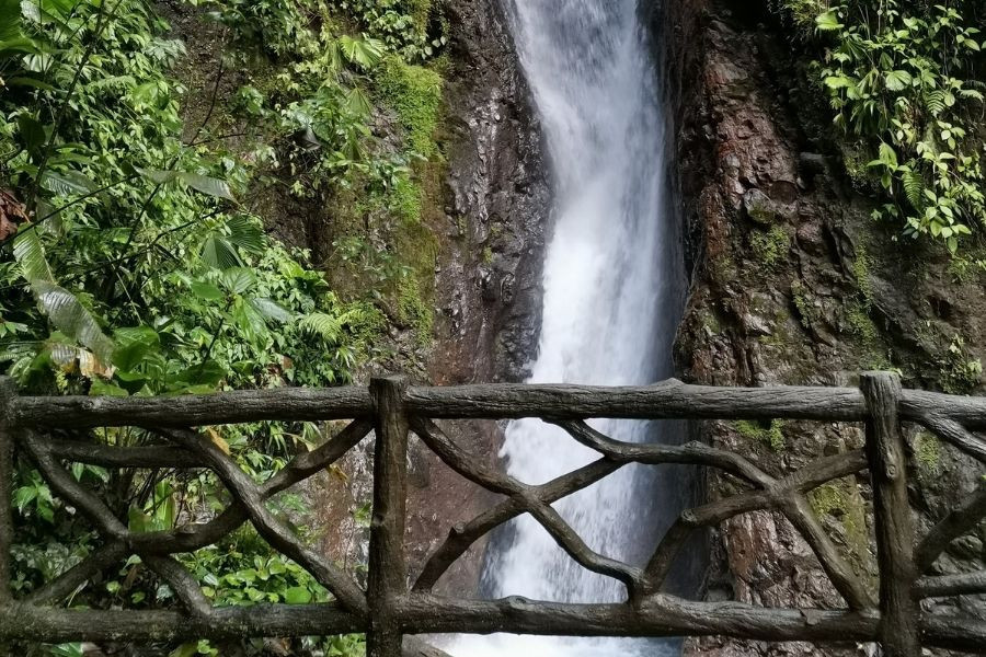 Mistico Park-Puentes Colgantes