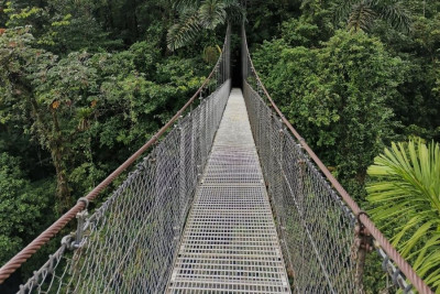 Mistico Park-Puentes Colgantes