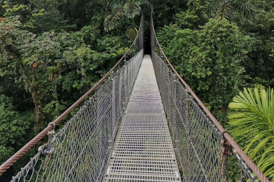 Mistico Park-Puentes Colgantes