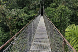 Mistico Park-Puentes Colgantes