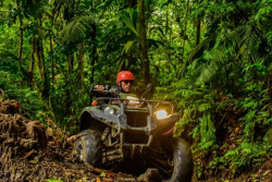 Side by Side Tour (Mule Vehicle)