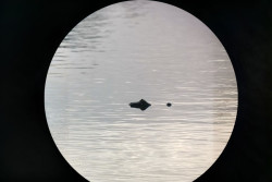 Caño Negro