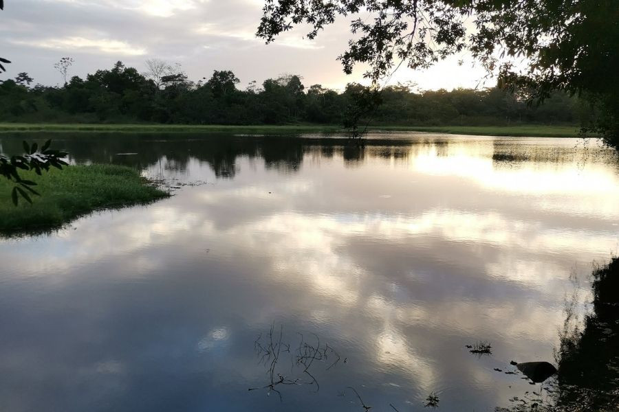 Caño Negro