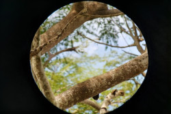 Birdwatching Tour